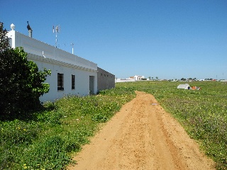 08339-0001 2