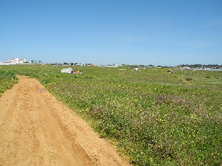 08339-0001 5