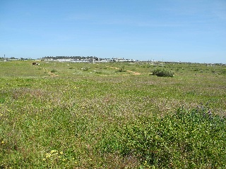 08339-0001 6