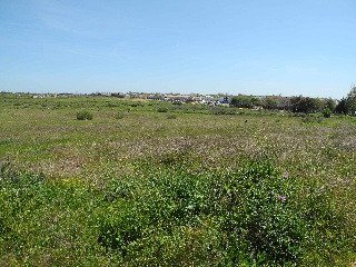 08339-0001 8