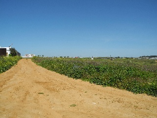 08339-0001 9