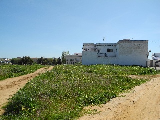 08339-0001 14