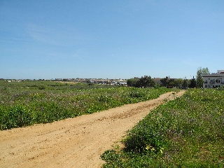 08339-0001 16