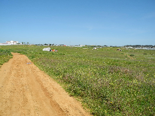 08339-0001 23