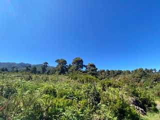 08310-0001 2