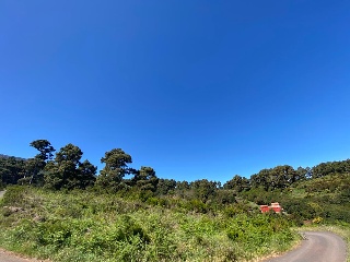 08310-0001 3