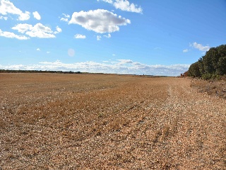 24206-0001 3