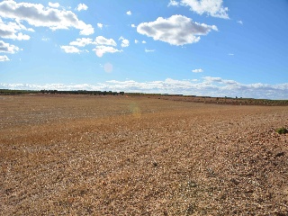 24206-0001 4