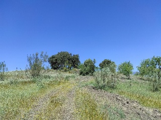 20131-0001 9