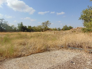 01450-0001 12