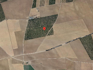 01450-0001 23
