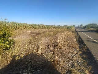 Pisos banco Xàtiva