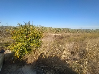 02237-0001 4