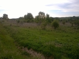 Suelo Urbanizable situado en Madrigalejo del Monte 4