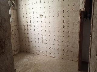 11499-0001 10