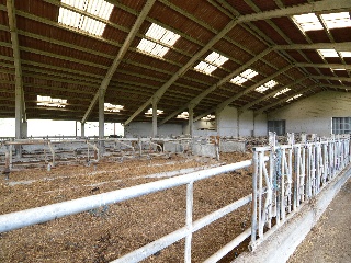 Nave industrial en Larraún 8
