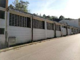 01677-0001 6
