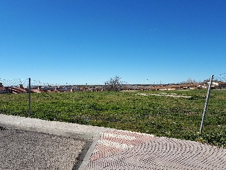 22878-0001 3