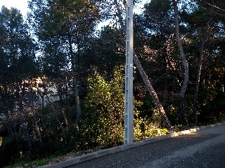 13883-0001 10