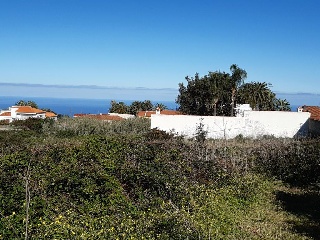 19496-0001 5