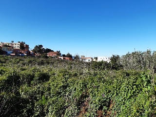 19496-0001 6