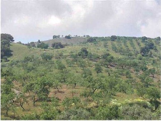 Otros en venta en Ugíjar de 56266  m²