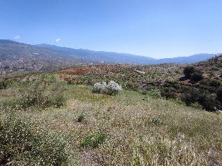 09540-0001 4