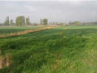Suelos no urbanizables en Villarquemado 2