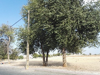 06015-0001 13