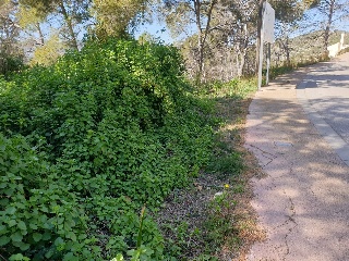 Otros en venta en Olivella de 1331  m²