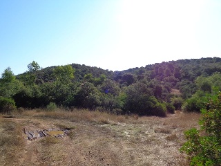 Suelo rústico en Paraje Cuesta de las Hoyas 9