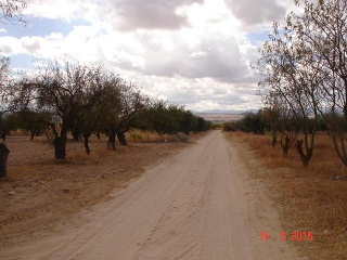 Finca Rústica con Edificación en C/ Polígono, La Puebla de Montalbán (Toledo)  5