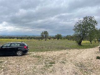 Finca Rústica con Edificación en C/ Polígono, La Puebla de Montalbán (Toledo)  6