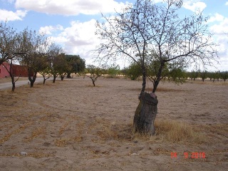 Finca Rústica con Edificación en C/ Polígono, La Puebla de Montalbán (Toledo)  8