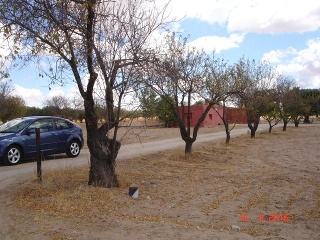 Finca Rústica con Edificación en C/ Polígono, La Puebla de Montalbán (Toledo)  9