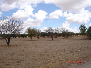 Finca Rústica con Edificación en C/ Polígono, La Puebla de Montalbán (Toledo)  11