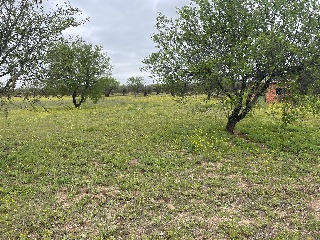 Finca Rústica con Edificación en C/ Polígono, La Puebla de Montalbán (Toledo)  17