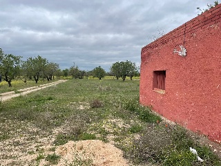 Finca Rústica con Edificación en C/ Polígono, La Puebla de Montalbán (Toledo)  19