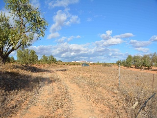 24248-0001 8