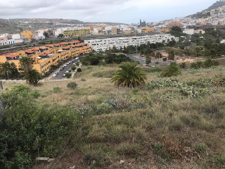 Suelo rústico en Arucas (Las Palmas) 12