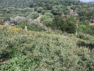 Suelo urbano en C/ Centolla - Algeciras - Cádiz 2