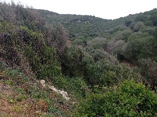 Suelo urbano en C/ Centolla - Algeciras - Cádiz 17
