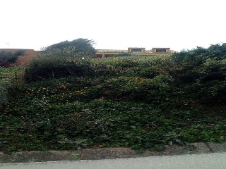 Suelo urbano en C/ Centolla - Algeciras - Cádiz 20