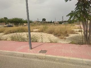 20376-0001 5