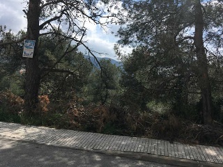 Otros en venta en Olesa De Bonesvalls de 1619  m²