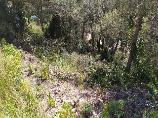 Suelo urbano no consolidado en Olesa de Bonesvalls - Barcelona - 11