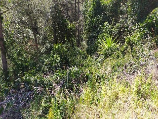 Suelo urbano no consolidado en Olesa de Bonesvalls - Barcelona - 12