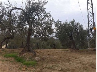 11351-0001 3