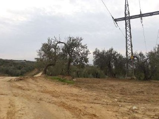11351-0001 5