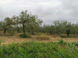11351-0001 7